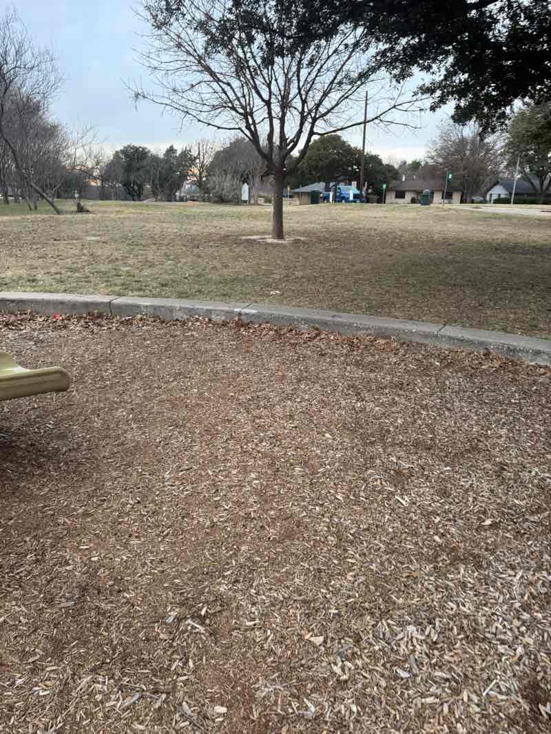 walking near me in Moss Park in winter