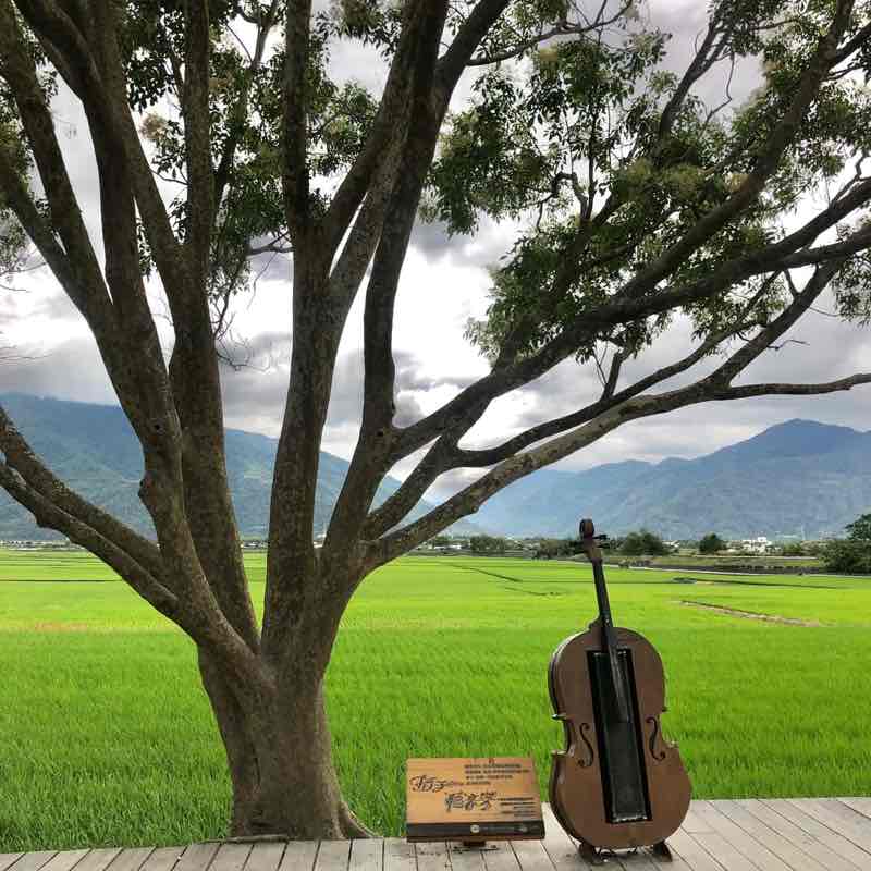 拾光 post 2