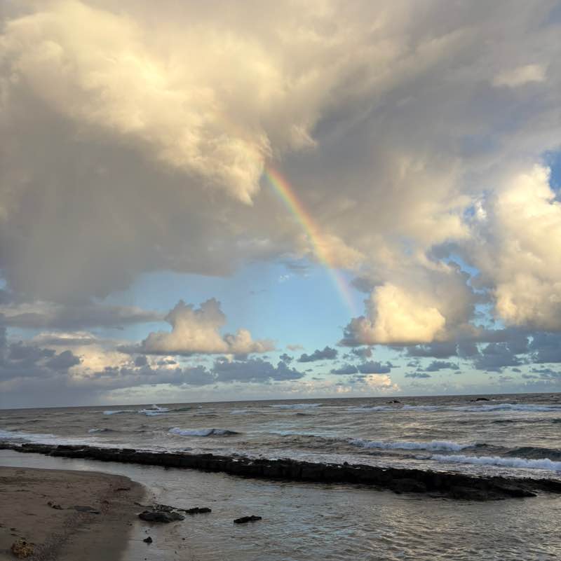 lizaamdelvalle post 3