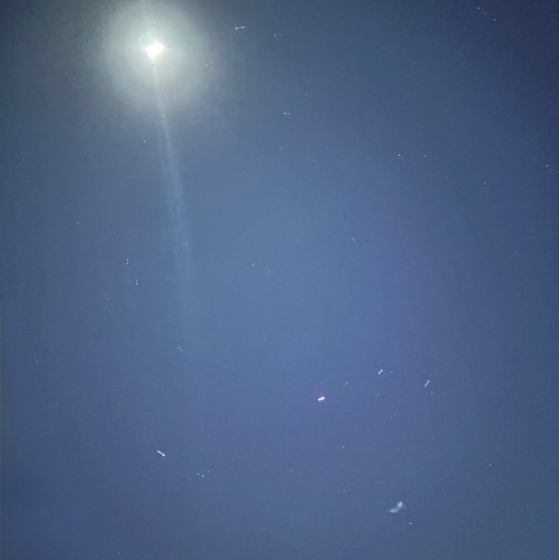 lizaamdelvalle post 2