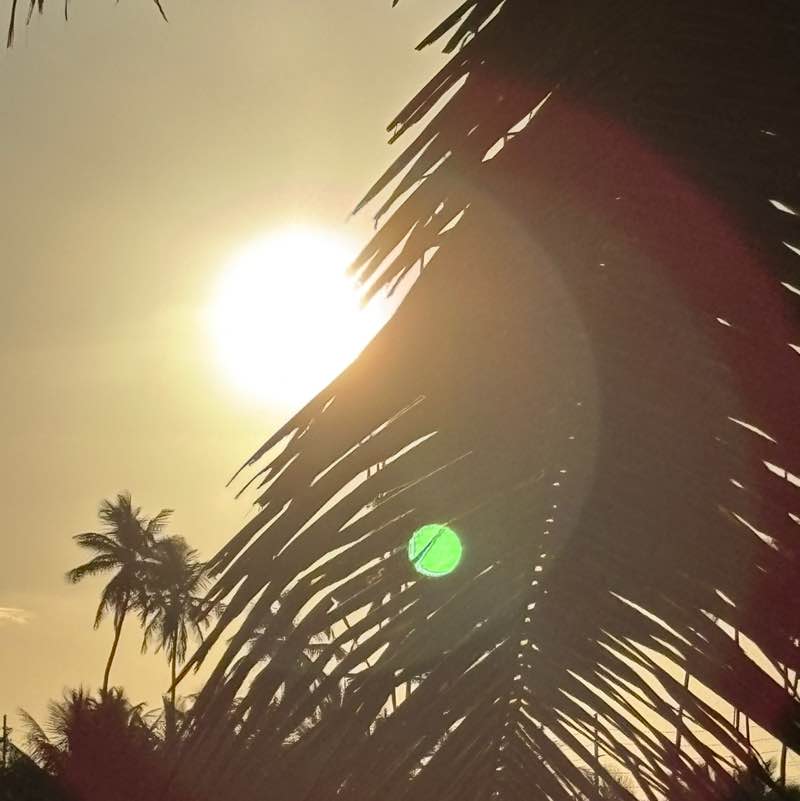 lizaamdelvalle post 3