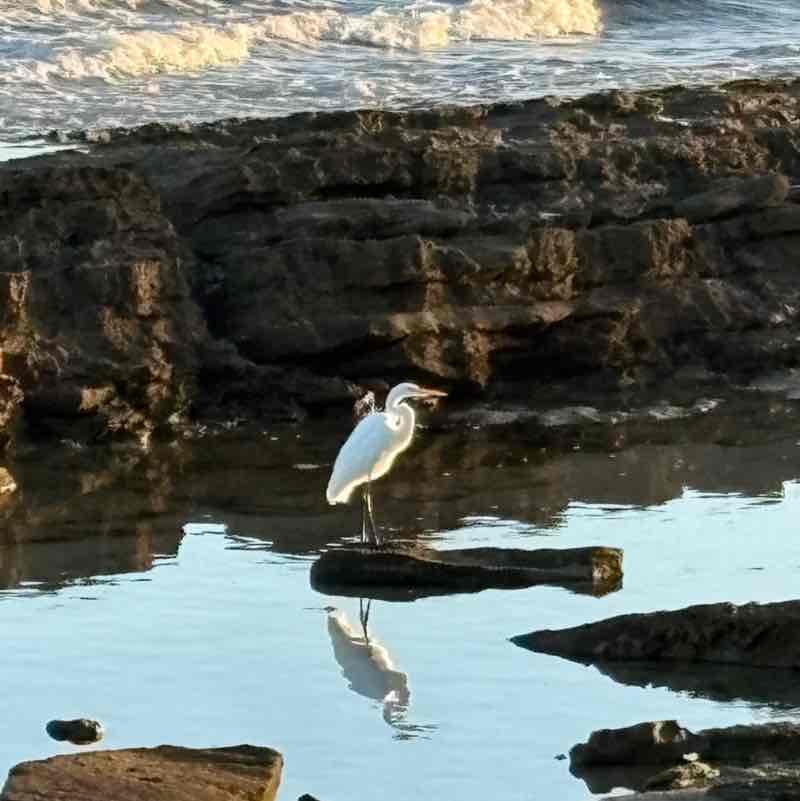 lizaamdelvalle post 2