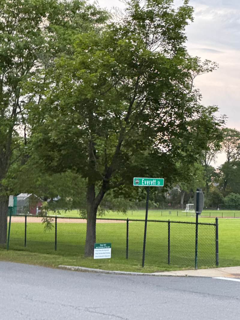 walking near me in Emerson Playground in summer