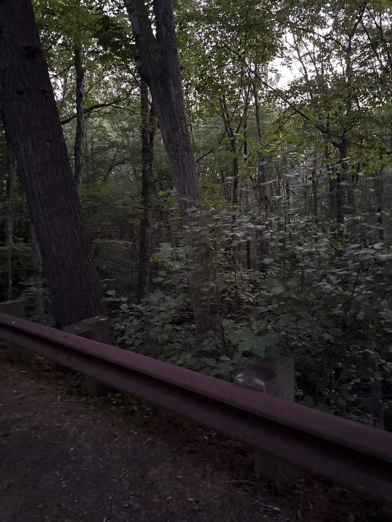 walking near me in Assabet River Conservation Area in summer
