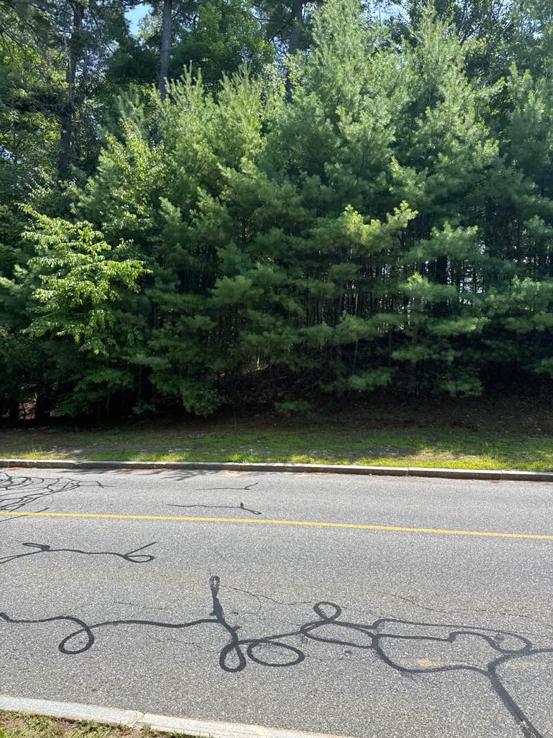 walking near me in Powder Mill Woods in autumn