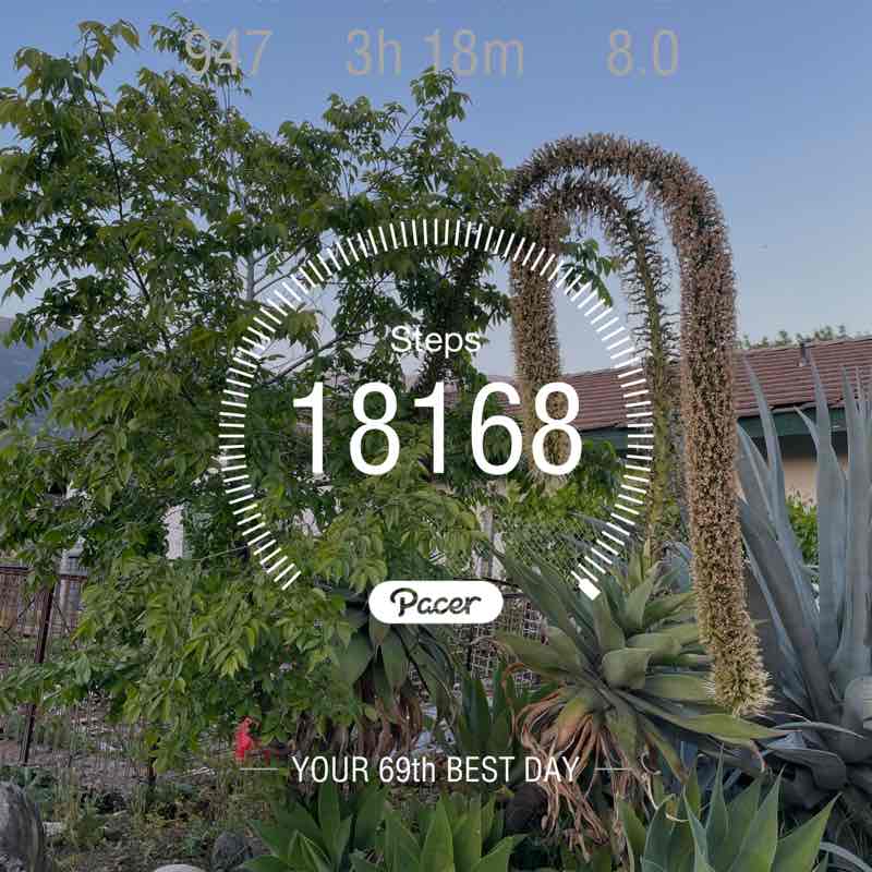 Justwannaname post 1