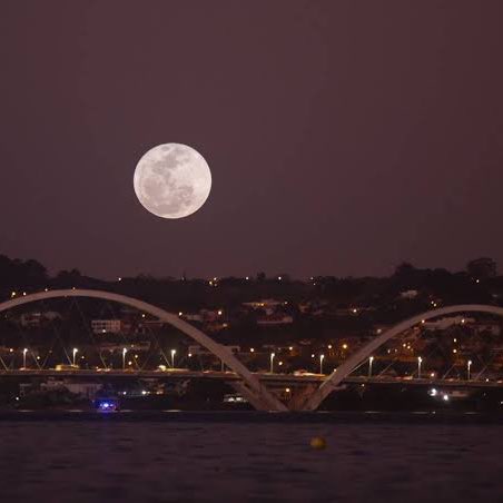 Bunny Wilde Stride 🇧🇷 XYKO🇧🇷 post image