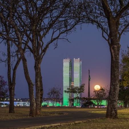 Bunny Wilde Stride 🇧🇷 XYKO🇧🇷 post image