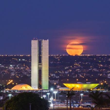 Bunny Wilde Stride 🇧🇷 XYKO🇧🇷 post image