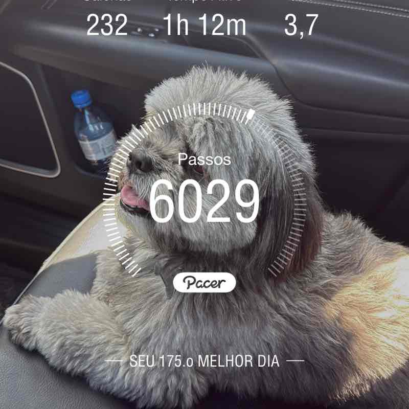 🇧🇷 XYKO🇧🇷 post 1