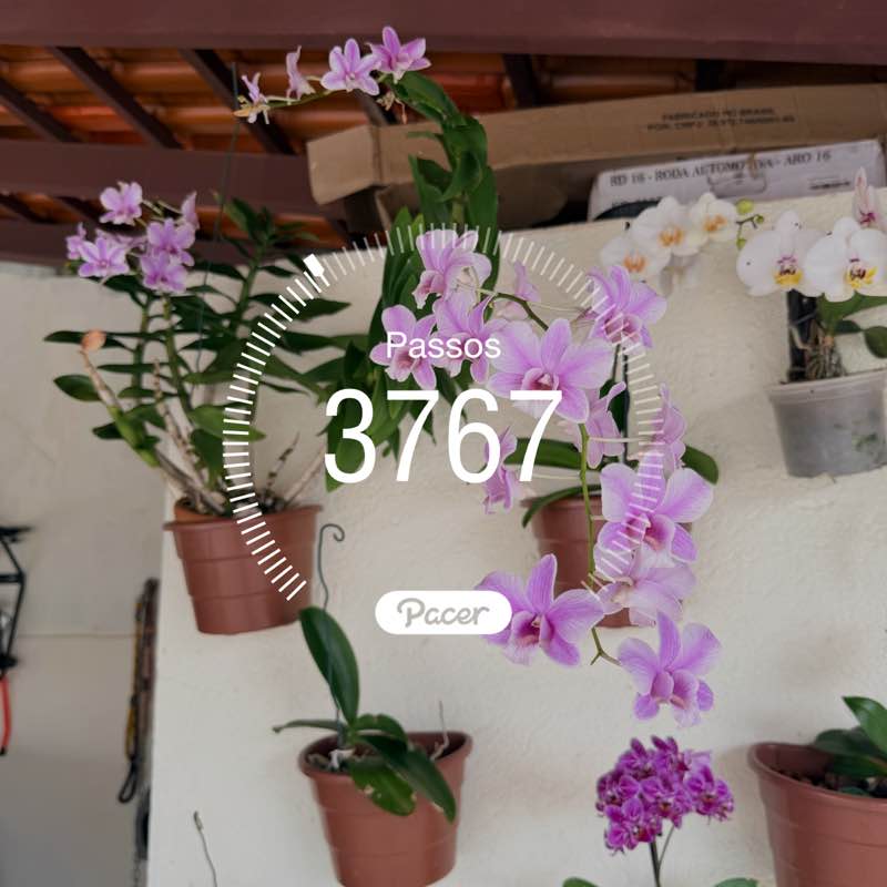 🇧🇷 XYKO🇧🇷 post 1