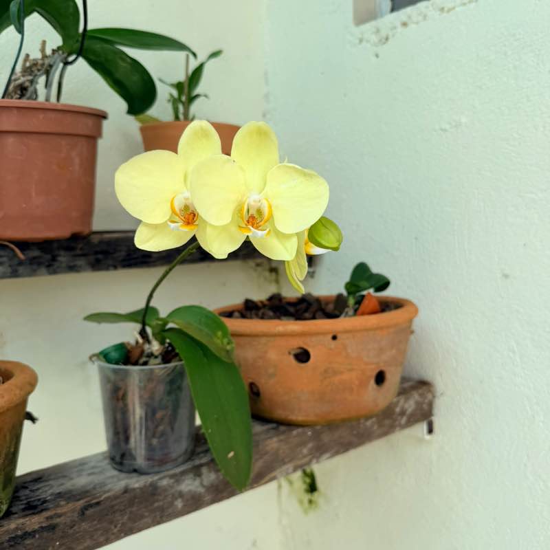 🇧🇷 XYKO🇧🇷 post 2