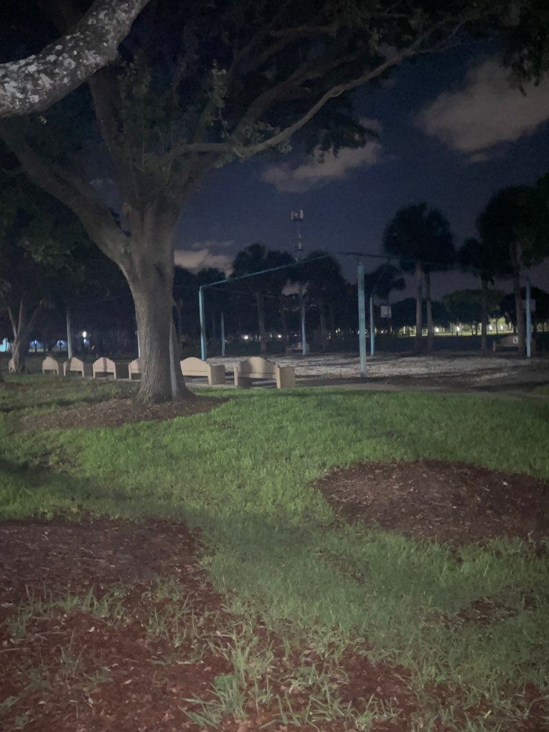 walking near me in Turtle Run Park in summer