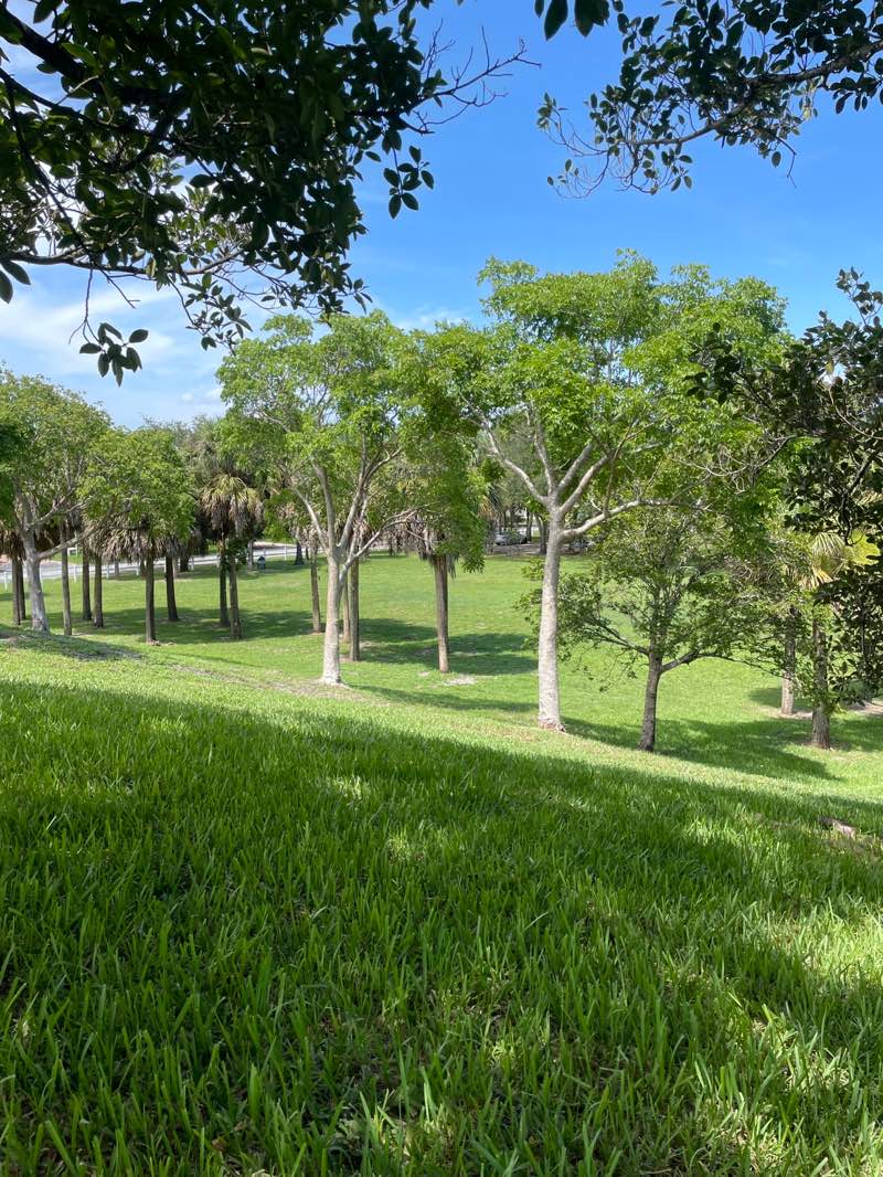 walking near me in Three Mountains Natural Area in summer