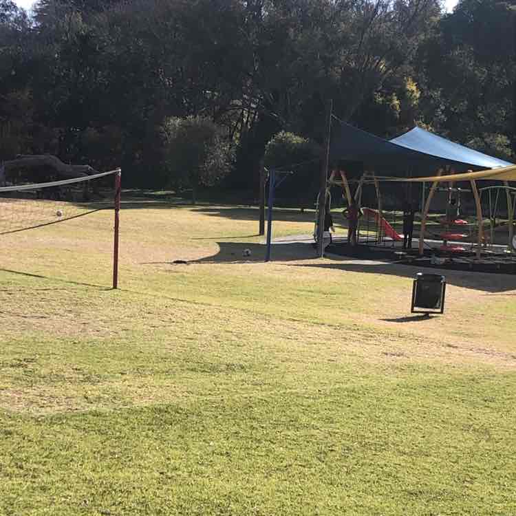 PacerGuy_1954 post 1