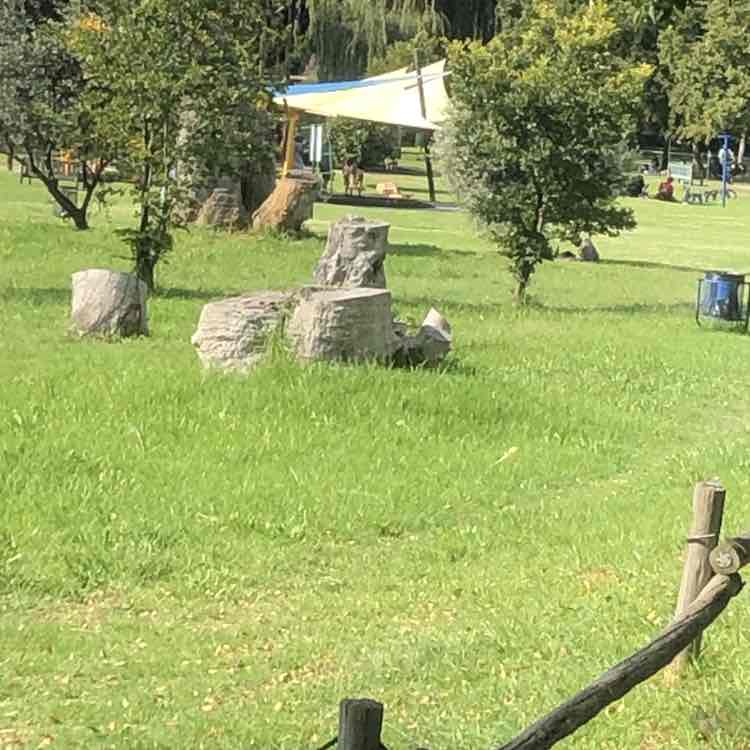 PacerGuy_1954 post 2