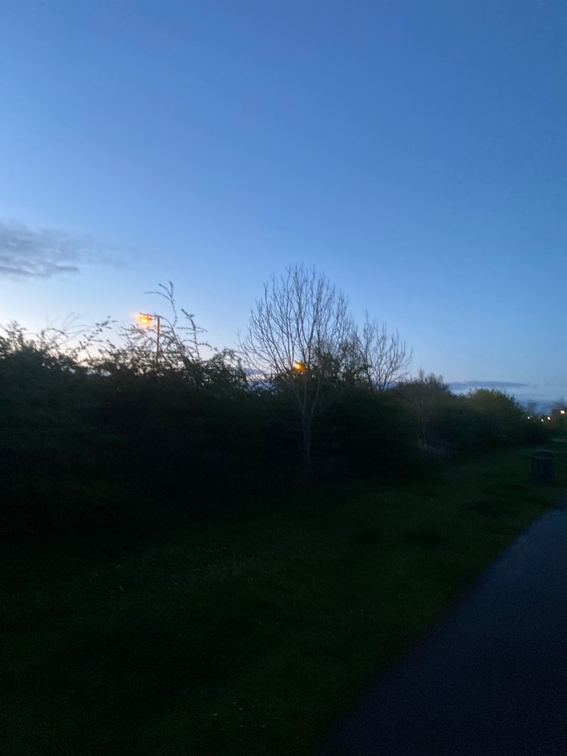 walking near me in Alver Valley Country Park in spring