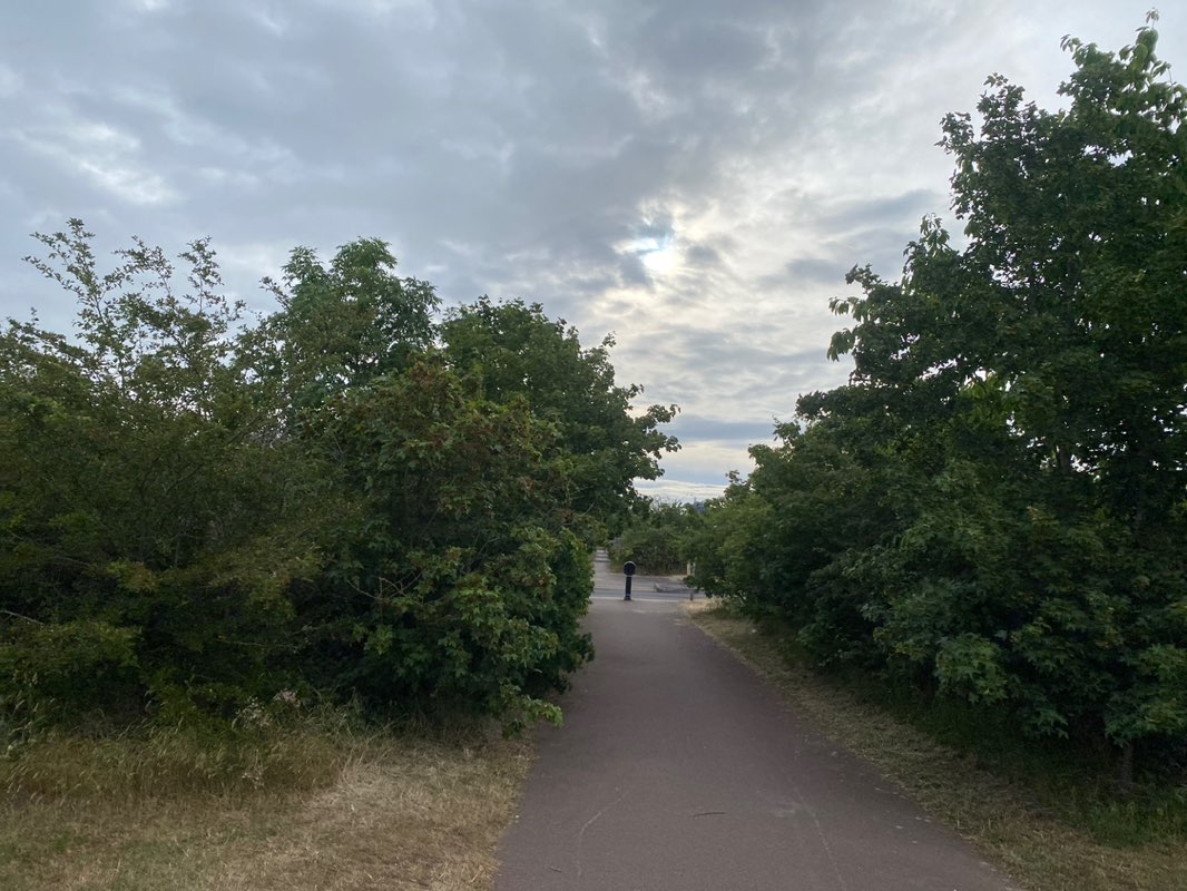 walking near me in Alver Valley Country Park in summer