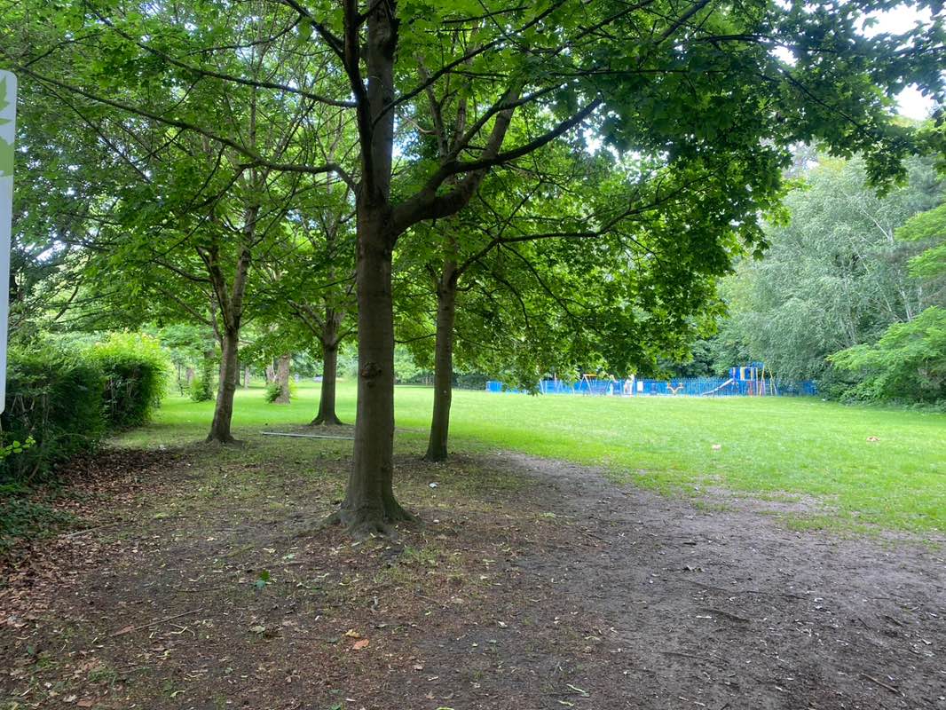walking near me in Camberley Park in summer