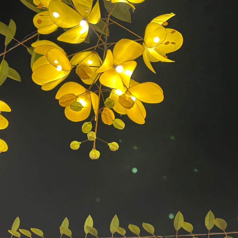 Bhavik 🇮🇳 post 1