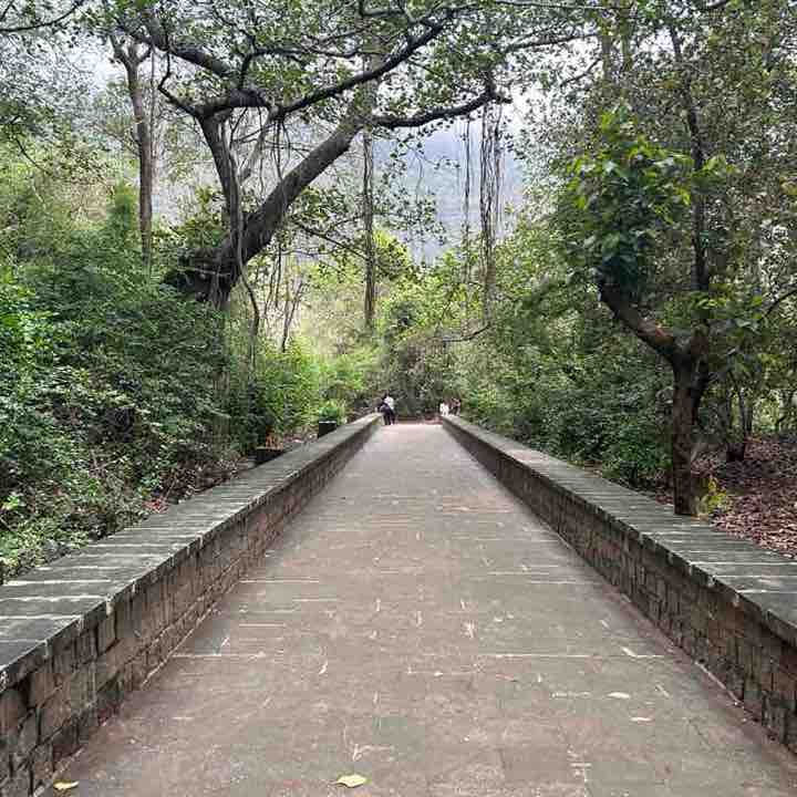 Bhavik 🇮🇳 post 1