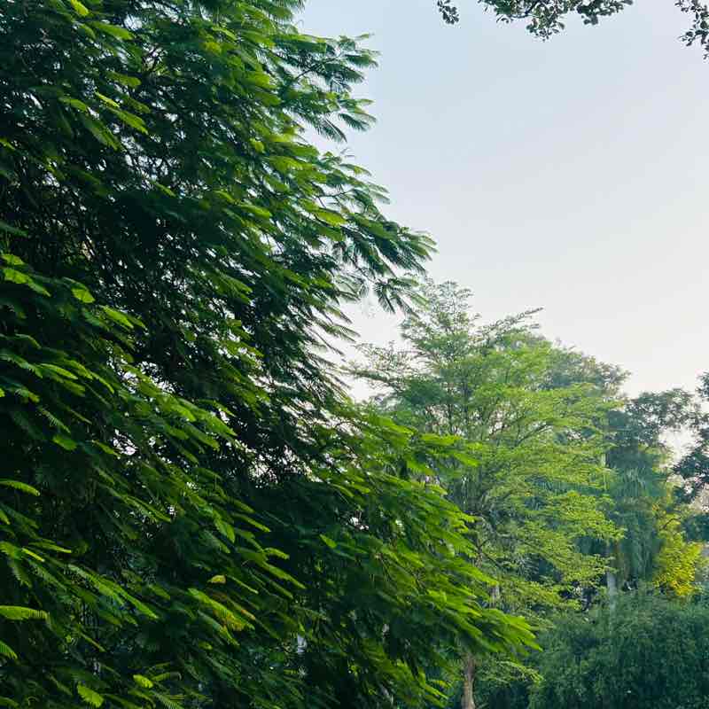 Bhavik 🇮🇳 post 1