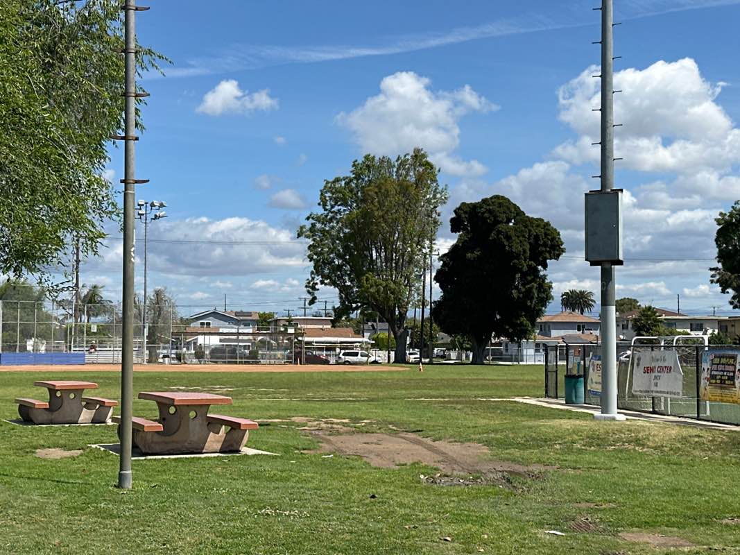 walking near me in Lennox Park in spring