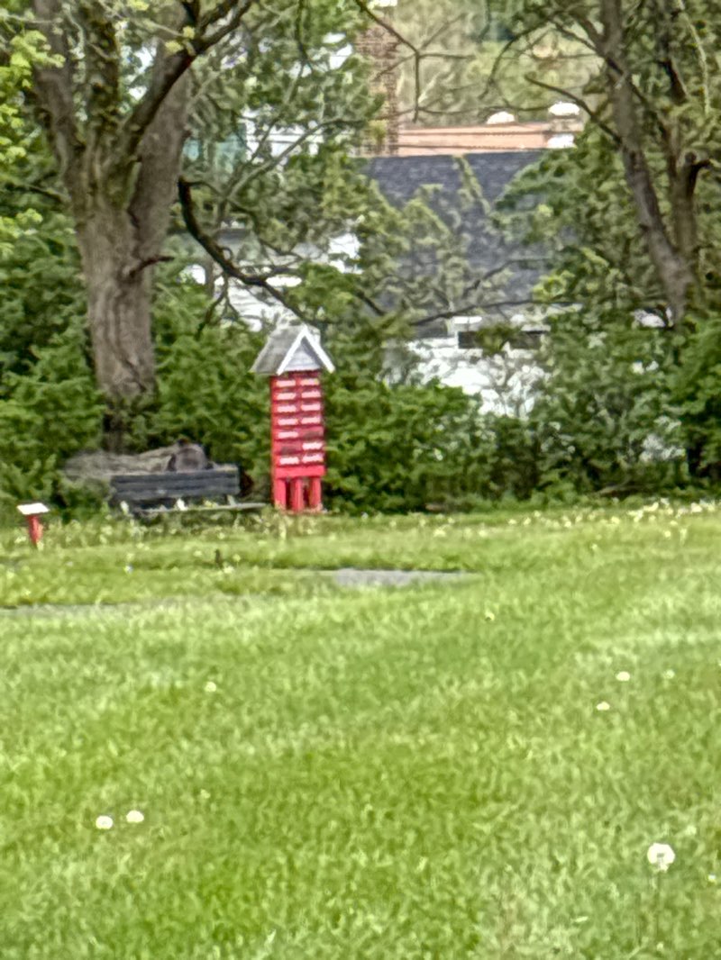 walking near me in Wildcat Park in spring