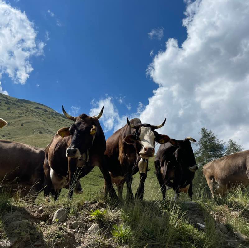 Чувак_71 post 3