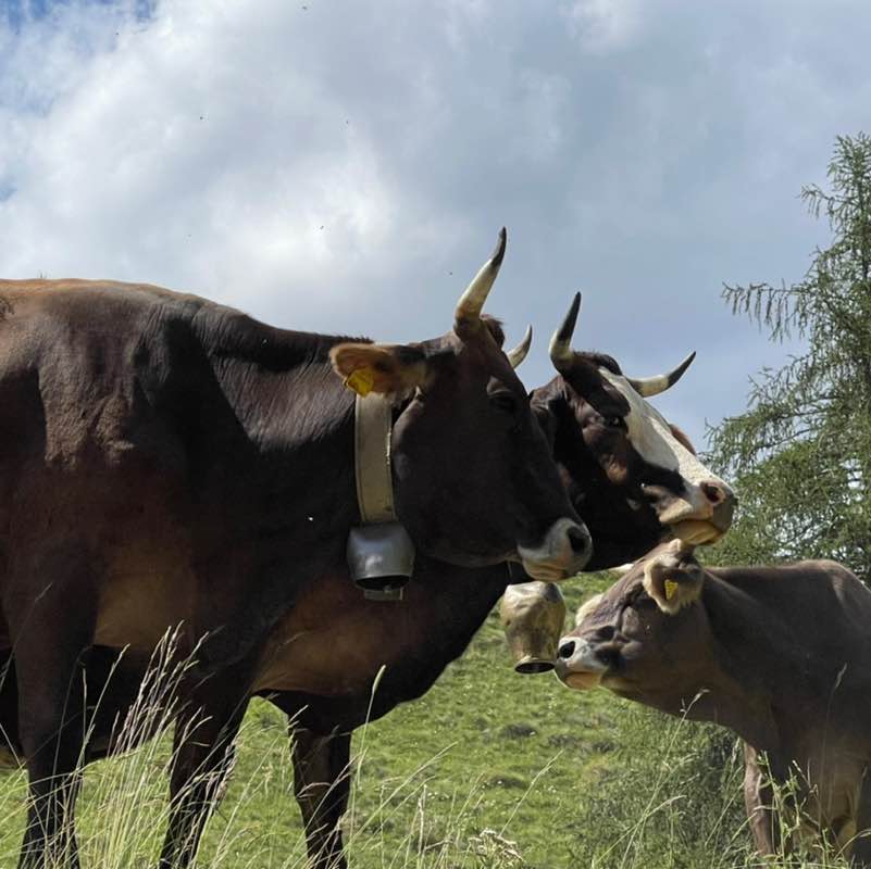 Чувак_71 post 1