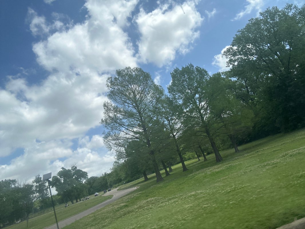 walking near me in White Rock Lake Park in spring