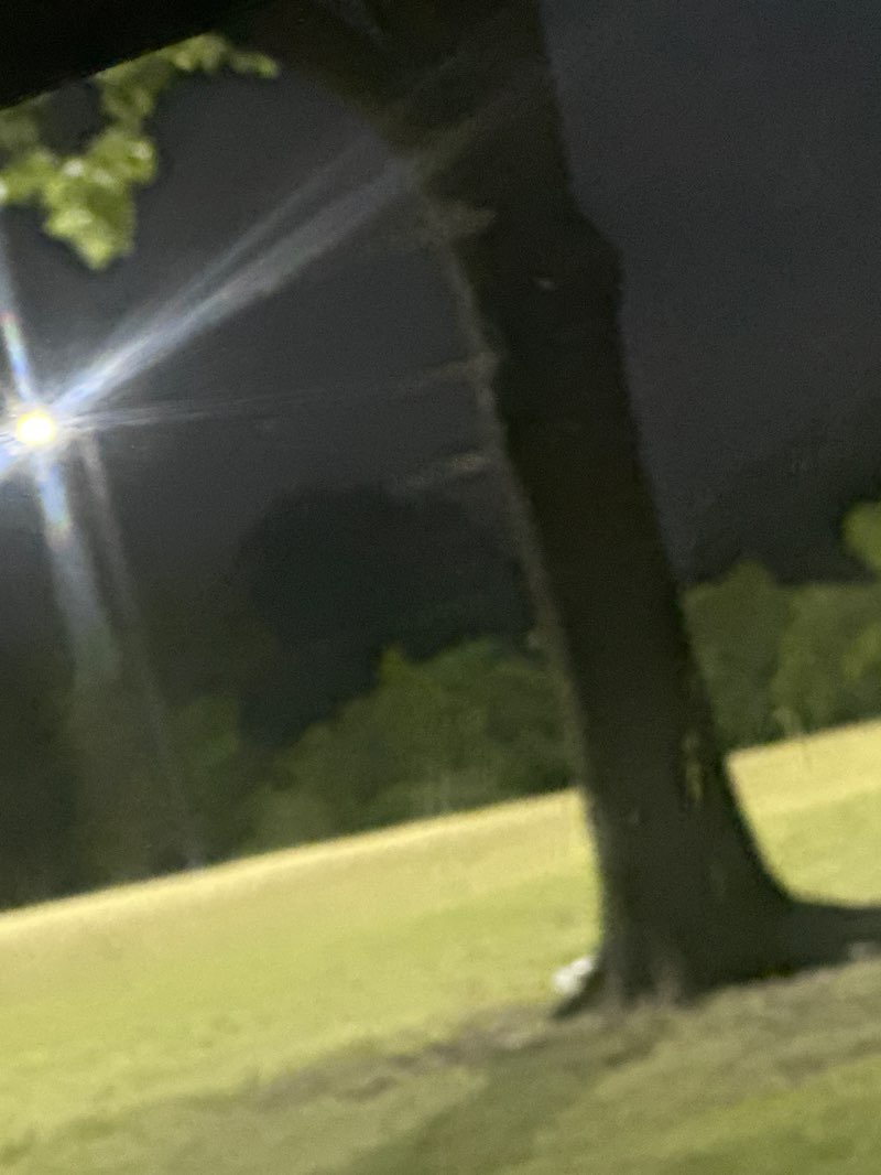 walking near me in Montgomery Park in spring