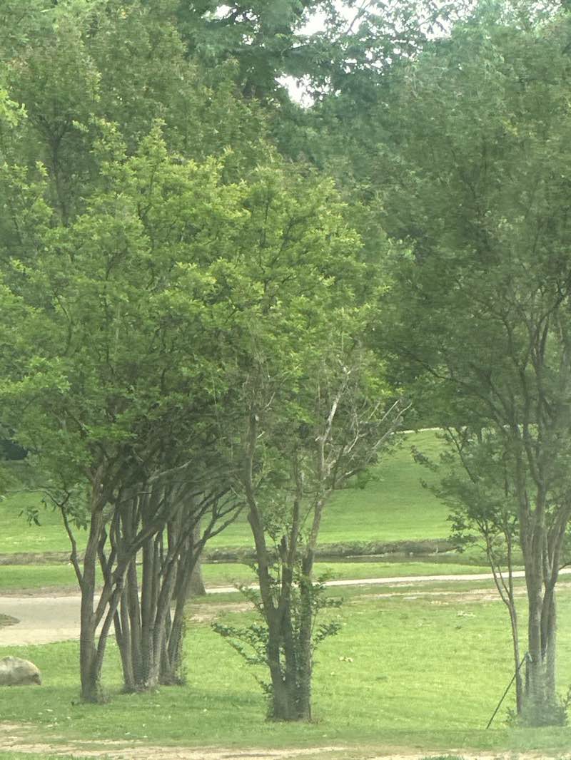 walking near me in Centennial Park in spring