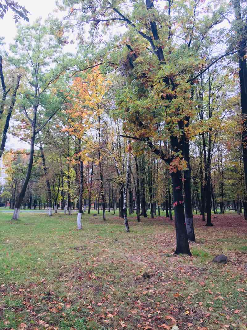 walking near me in сквер Гагарина in winter