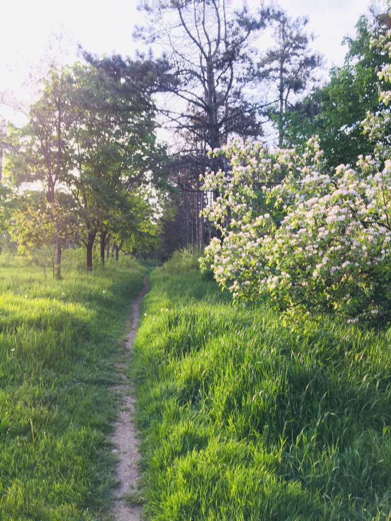 walking near me in Новопятигорский курган in winter