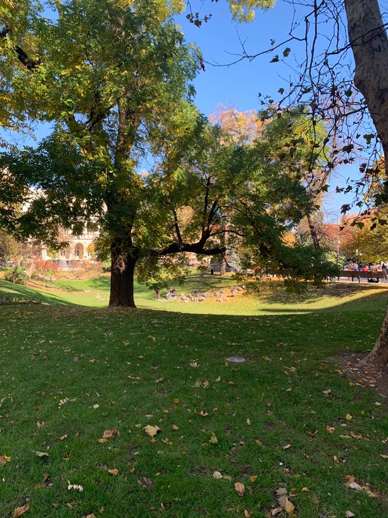 walking near me in Crystal Garden in autumn