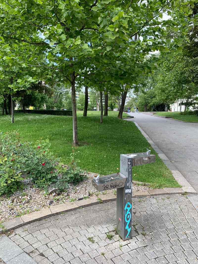 walking near me in St. Kl. Ohridski Garden in spring