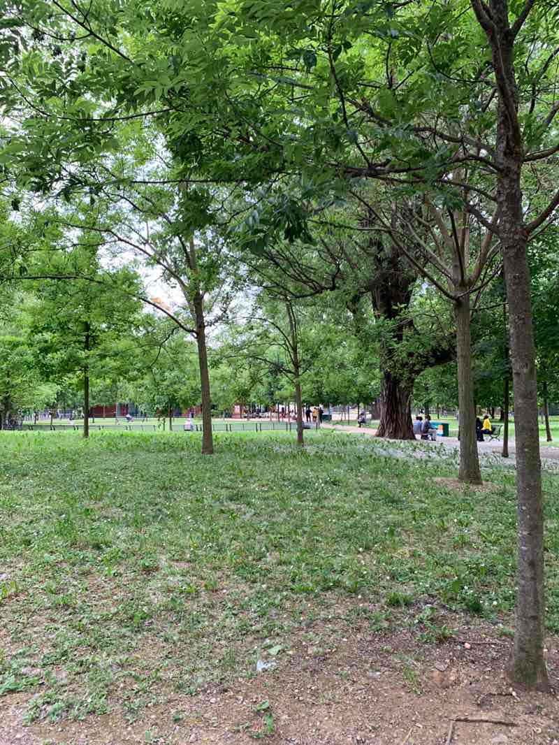 walking near me in Parco Malpensata in spring