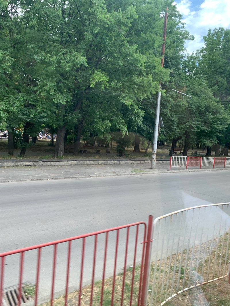 walking near me in Градска градина in summer