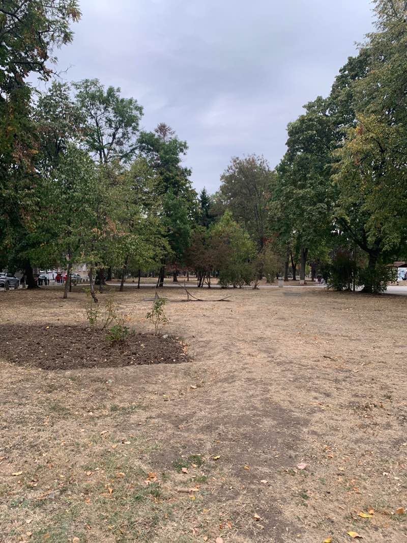 walking near me in Парк Заимов in autumn