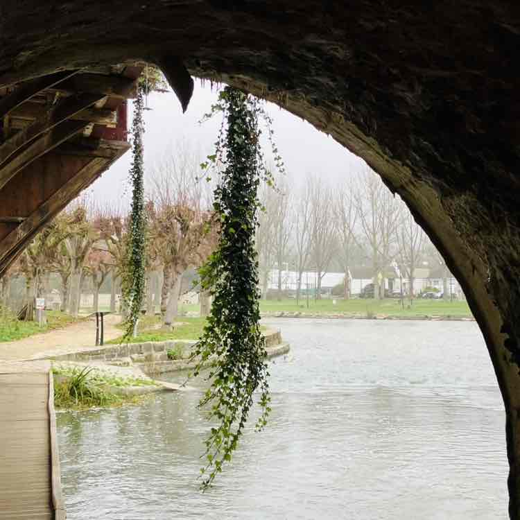 December Steps Challenge marie post image