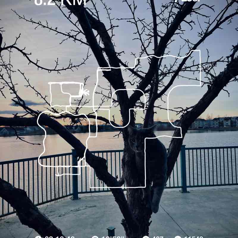 Dianitti🇺🇦🙏🏼 post 1