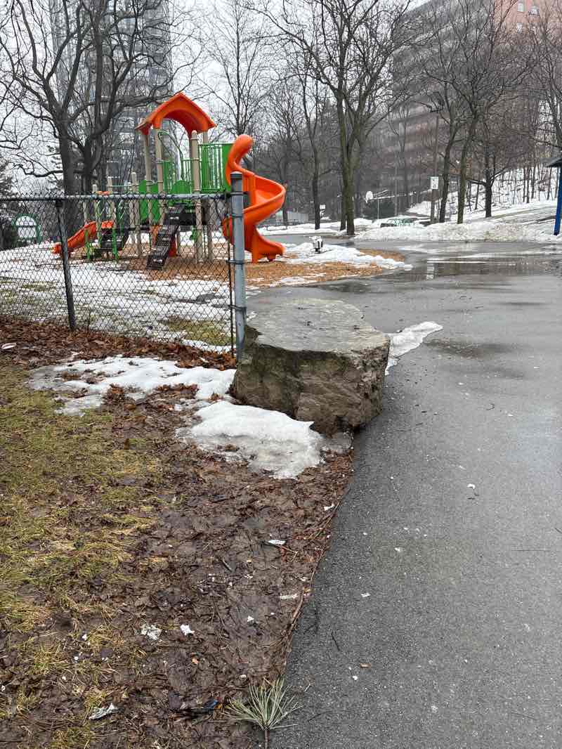 walking near me in Woolverton Park in spring