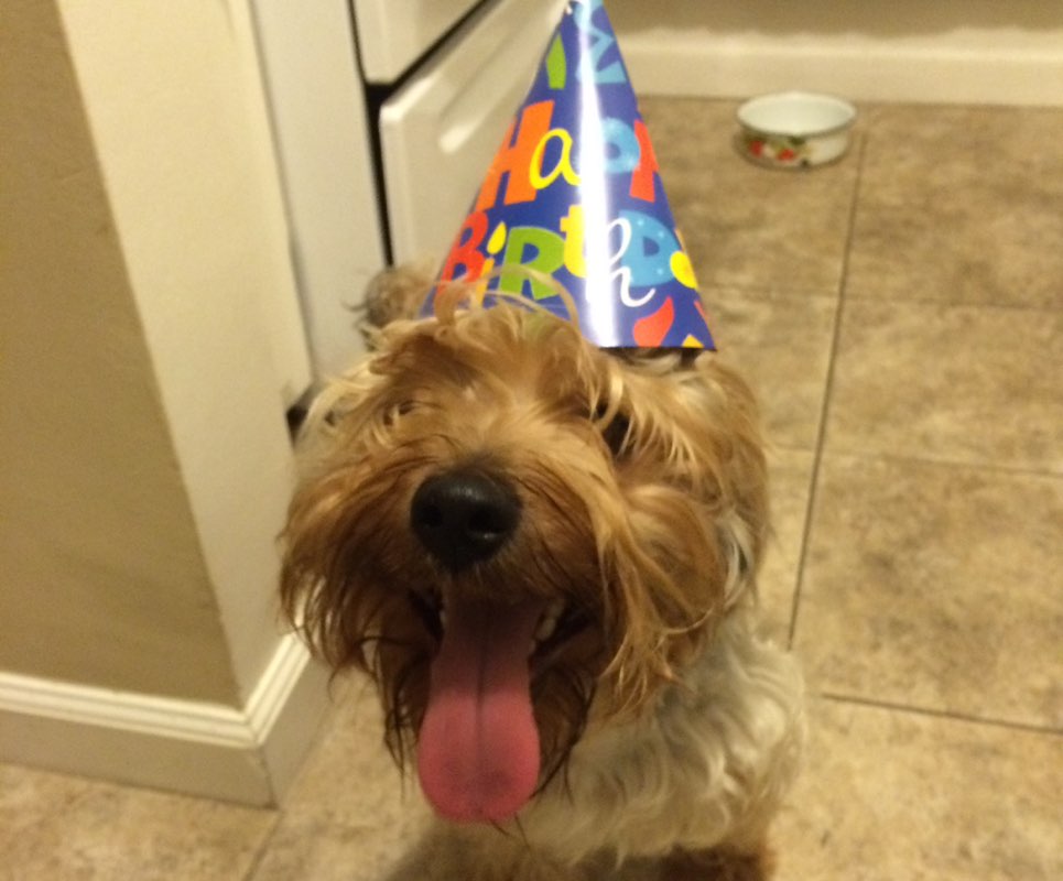 Monstrodamus profile