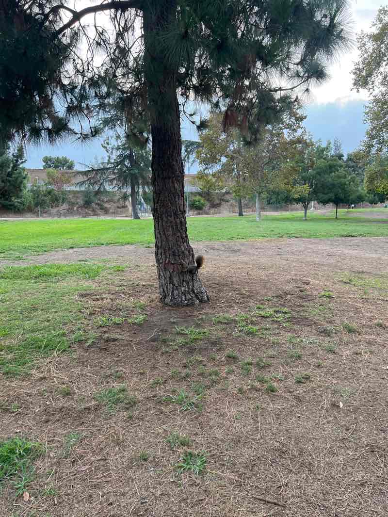 walking near me in North Hollywood Park in autumn