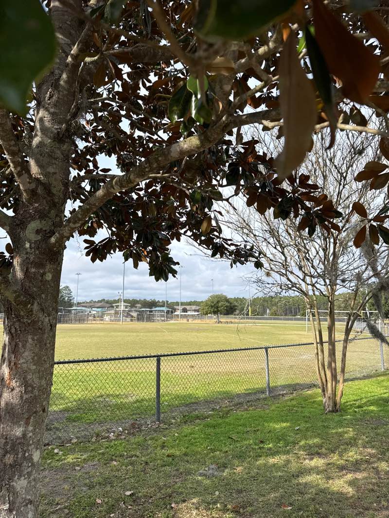 walking near me in Aberdeen Park in winter