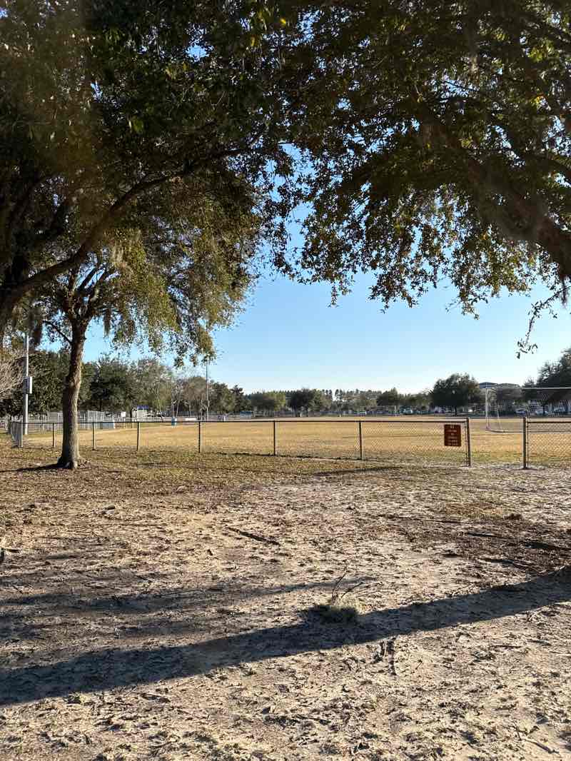 walking near me in Aberdeen Park in winter