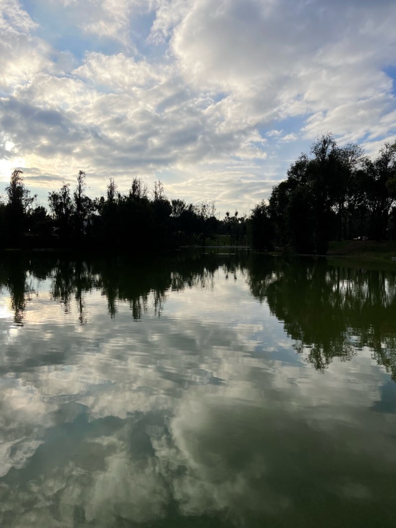 walking near me in Parque Tezozómoc in winter