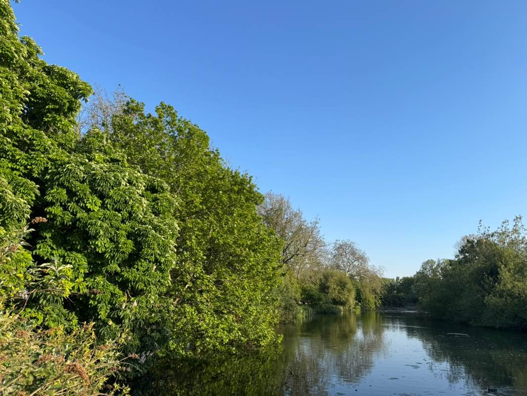 walking near me in Waddon Ponds in spring