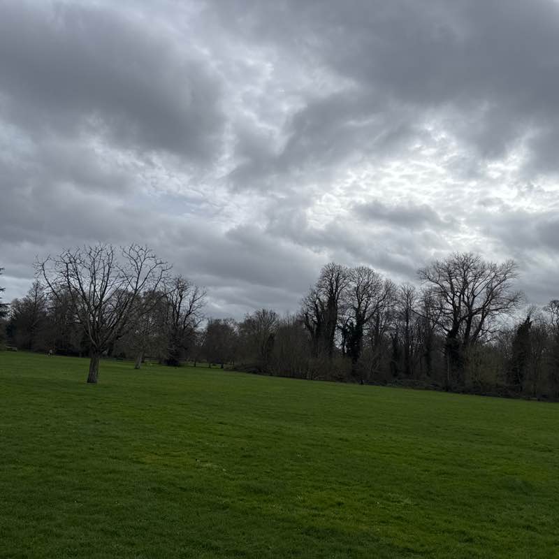 PacerGal_1981 post 1